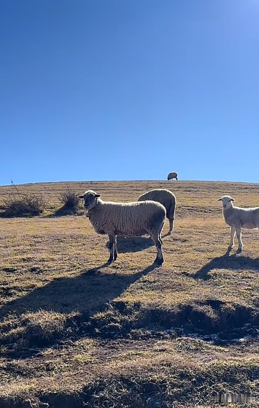 写作，或是囗播，我发现话多话少是两种截然不同的概念。说明一个问题，言简意骇，切记