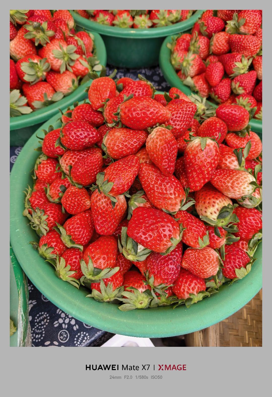 农村全是淀粉肠三无产品但是高端地方又太贵带儿子喂鱼 