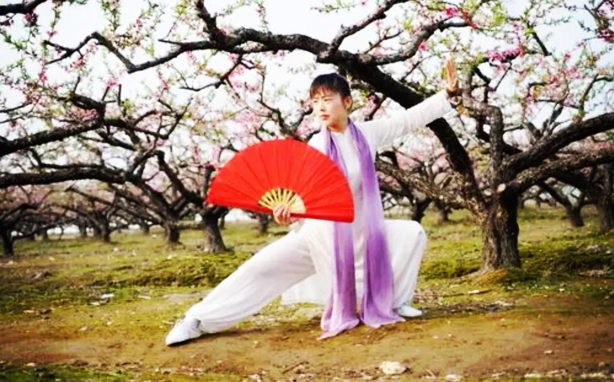 为何练习太极扇对练习太极拳不利呢？

其一，动作逻辑的侧重点有所不同。
太极拳注