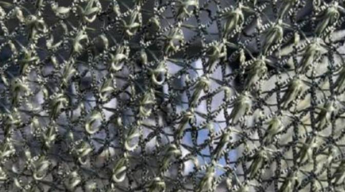 乌克兰无人机在天上横行的日子到头了？谁也没料到，终结它们的不是激光武器，不是电子