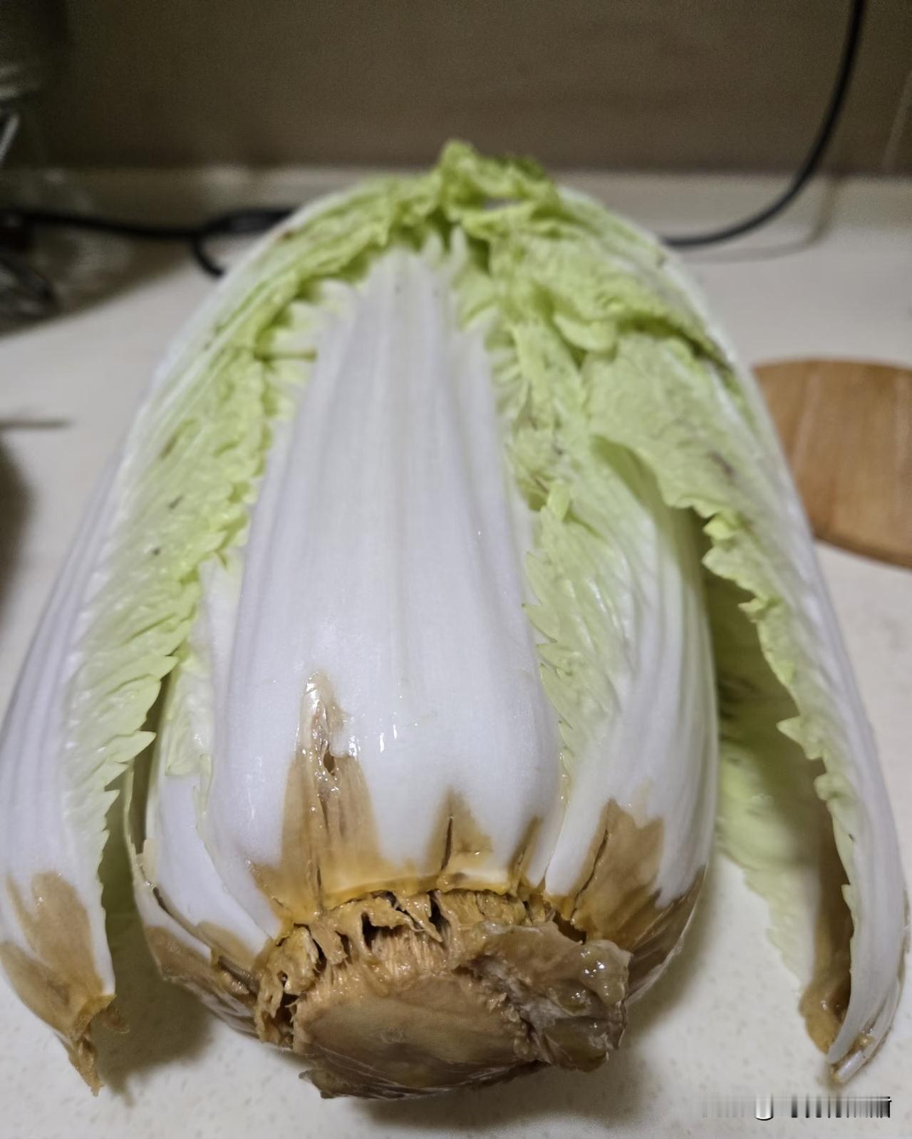 白菜放三天不坏的话更吓人，很奇怪白菜是从里面开始坏的，之前本来想炒白菜，结果剥到