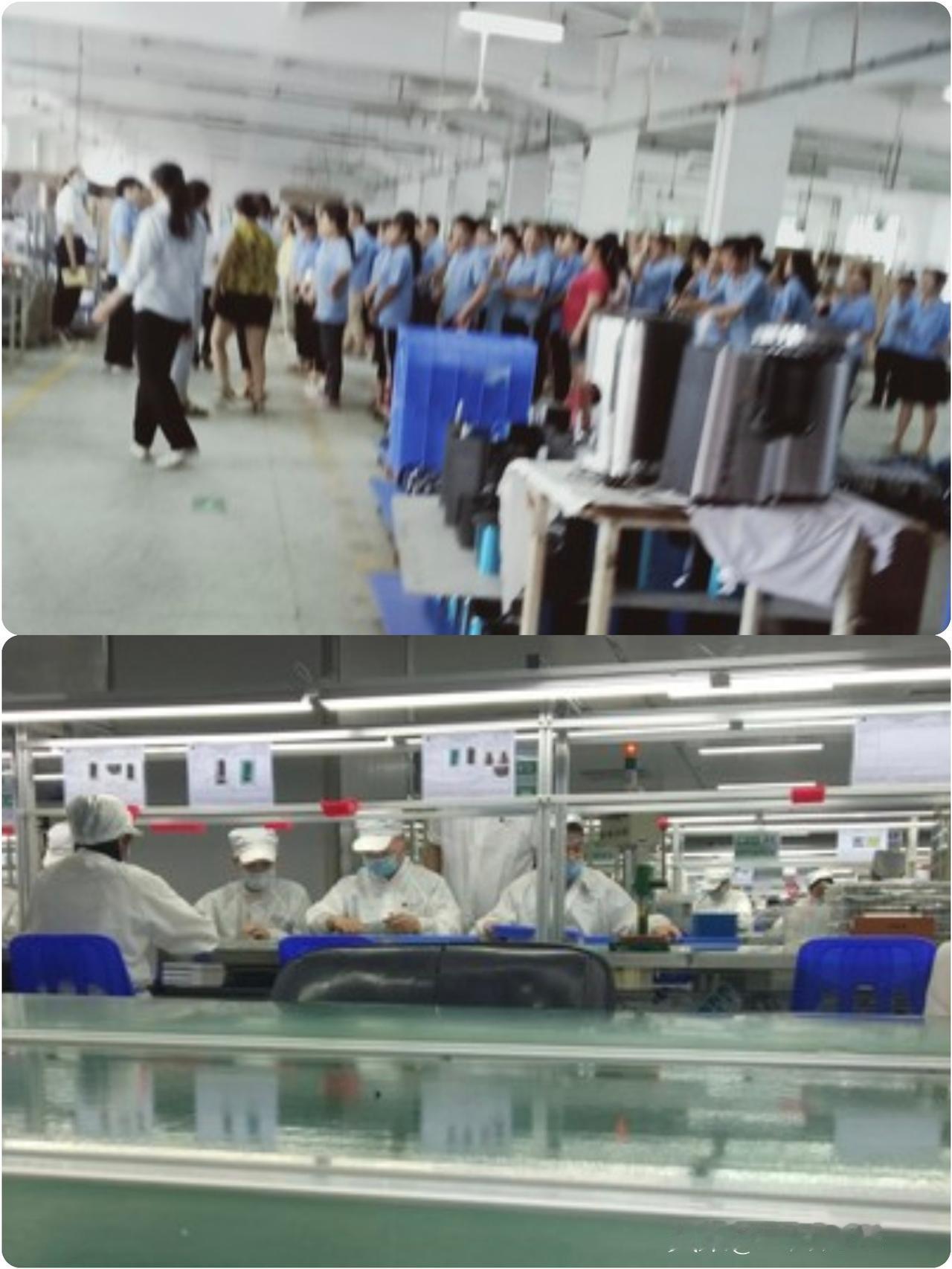 硕士生入职一月被安排流水线拧螺丝，
107名校招生遭劝退，校招何时沦为企业缓冲带