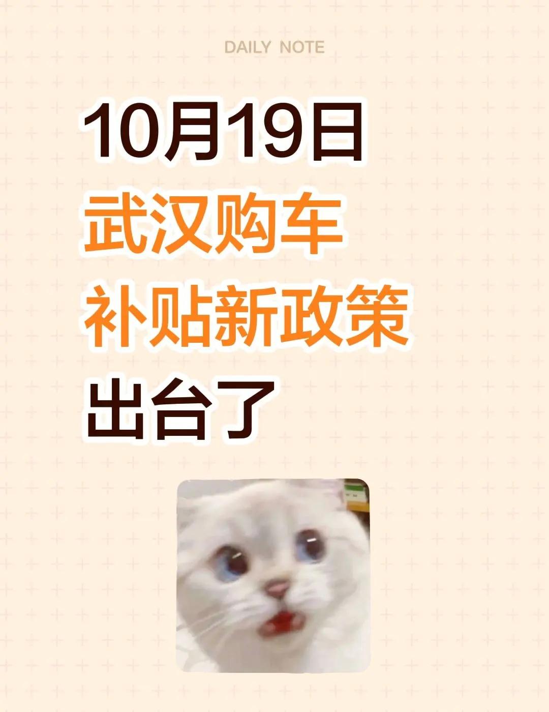 10月19日武汉购车补贴新政策出台了湖北以旧换新 湖北购车补贴杀疯了 湖北汽车消