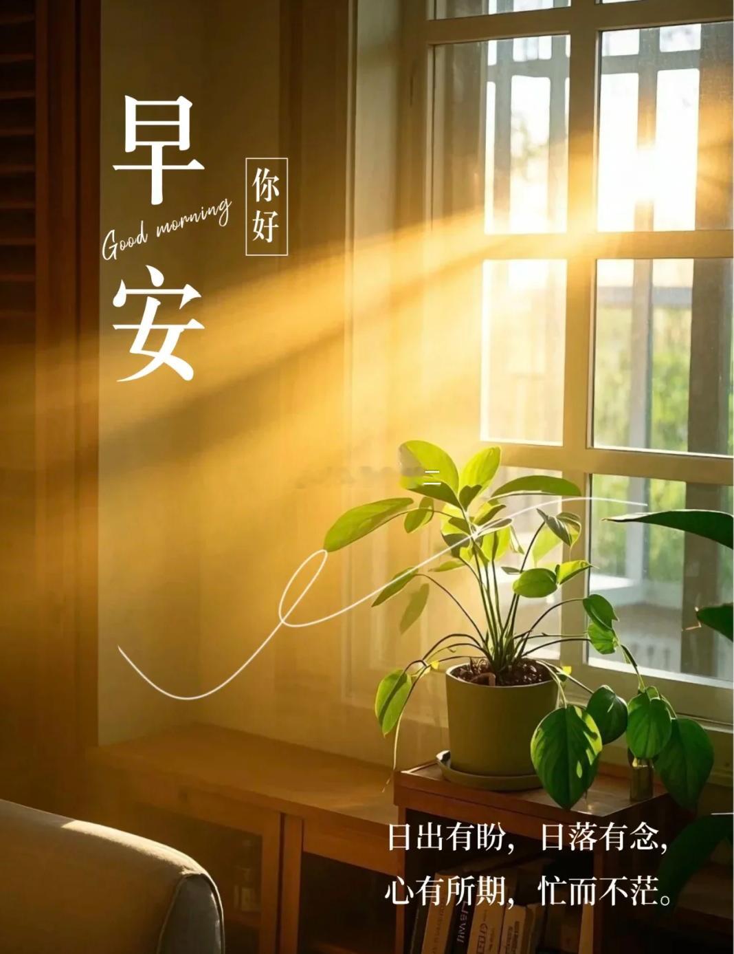✨早安保持平和心态，按思路从容布局。愿今日每一次操作都如愿收获。黄金 金价