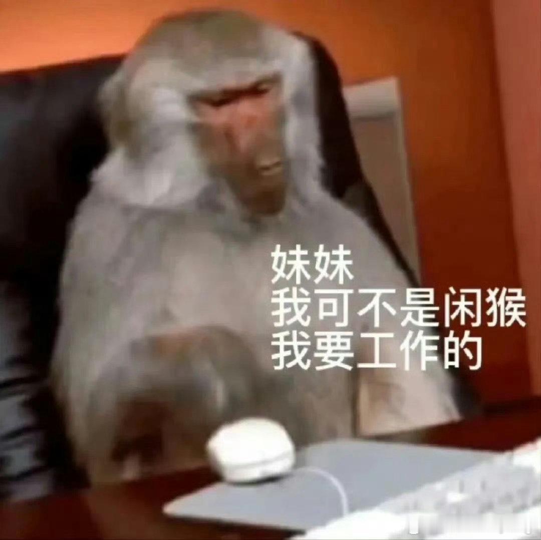 最尊重猴的剧组出现了这个年会不能停！2剧组细节拉满啊，猴子戏份真的是解压，打工人