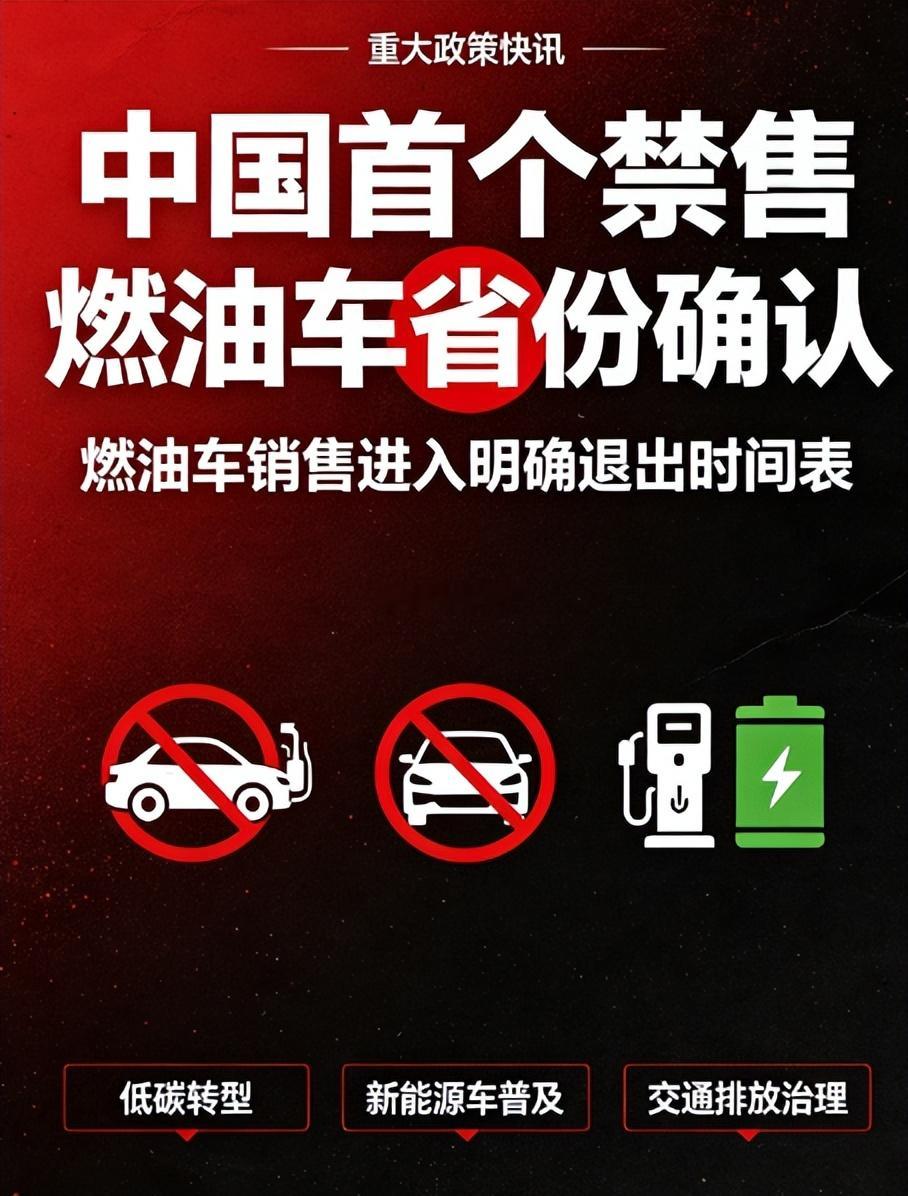 中国首个禁售燃油车省份确认 海南打响“禁燃”第一枪：2030年停售燃油车，新能源