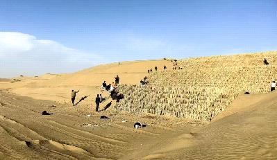 有人给治理塔克拉玛干沙漠，出了个怪招。不种树，不砸钱浇水，反过来，给整个沙漠盖上