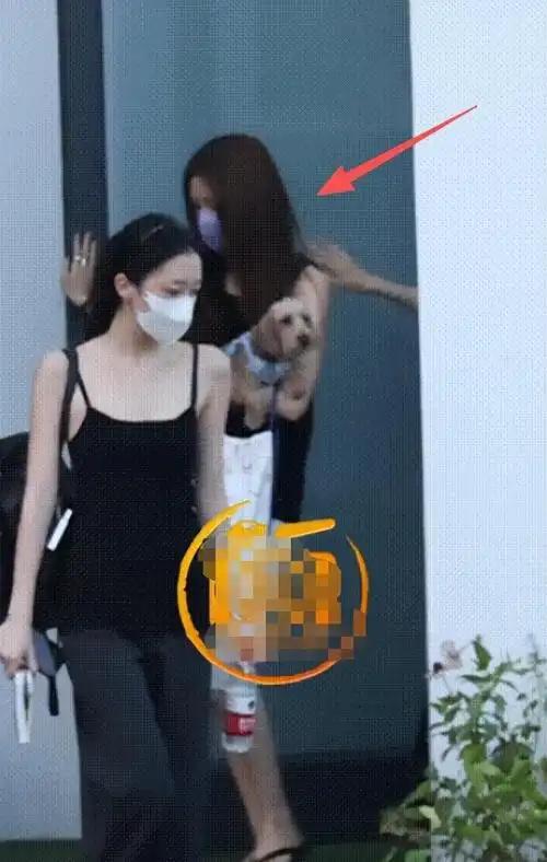 李嫣与窦靖童有着相似的基因，却生长出两种不同的灵魂。
简单的高马尾、黑框眼镜，白