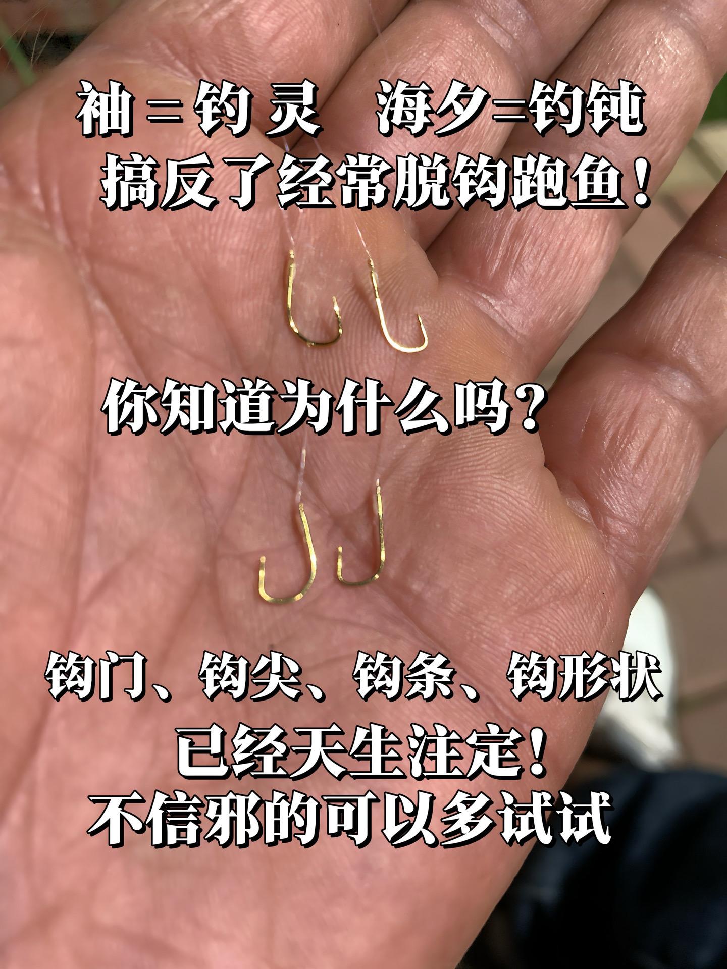 自己的钓鲫鱼习惯，选对钩型很重要。 钓鲫鱼的钩型习惯