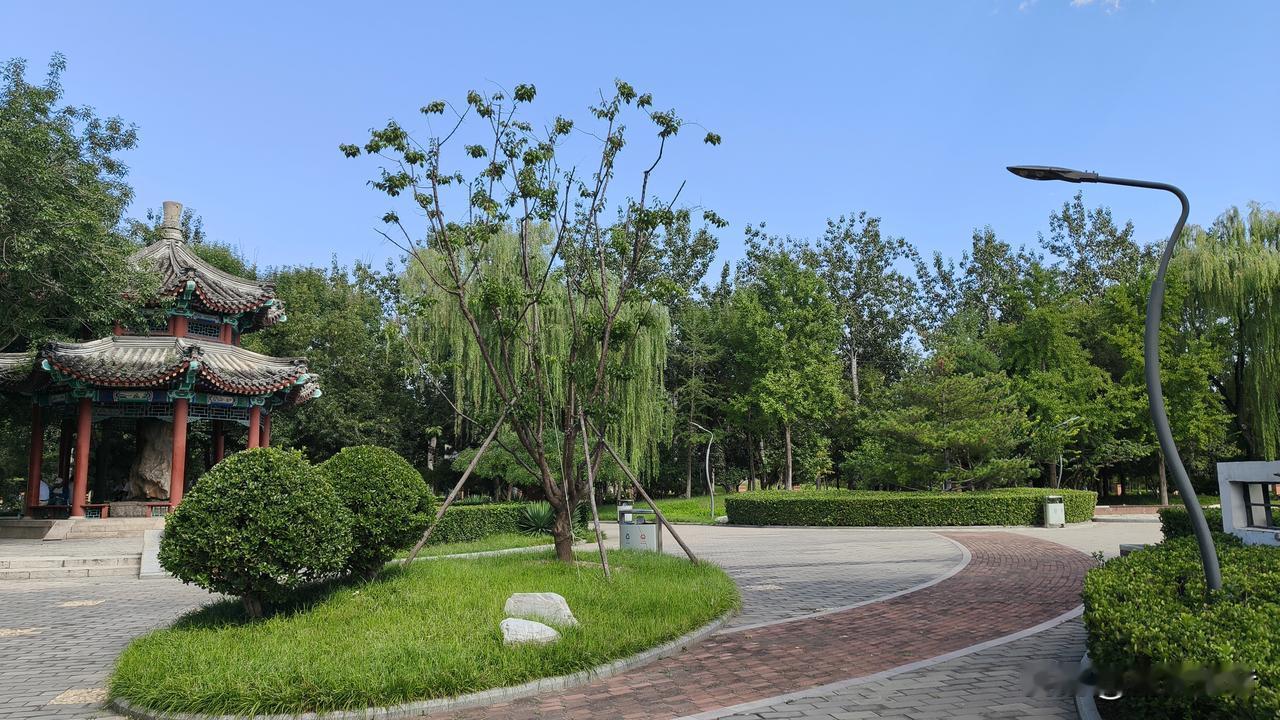 骨子里坏的人，往往是这样的:

1. 天生共情力弱，看别人落魄受难，心里没半点触