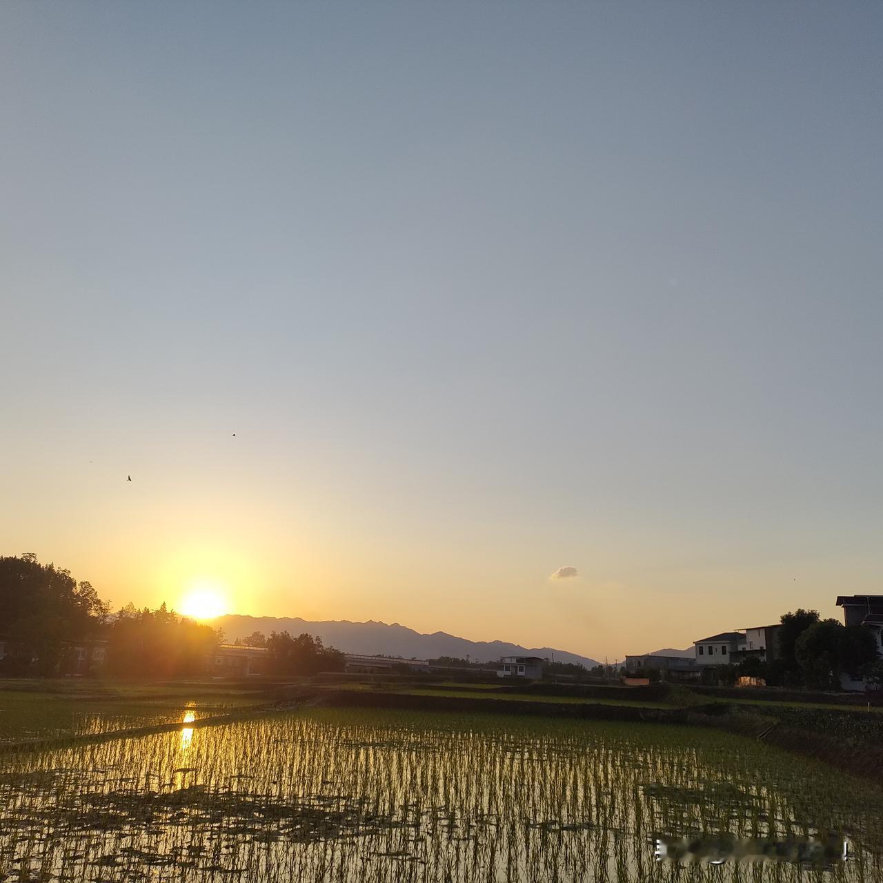 临睡前夏天给我说，他的二婶可能要去世了，也就这两天的事。我随便聊了几句，他又感叹