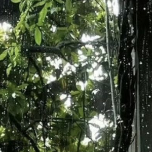 0000在这个快节奏的世界里，让我们偶尔放慢脚步，感受生活的细腻与美好。就像清晨