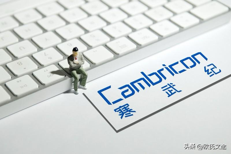 观察：最近寒武纪实在是太火了，但越火越觉得不太对劲？

寒武纪在芯片领域这块实力