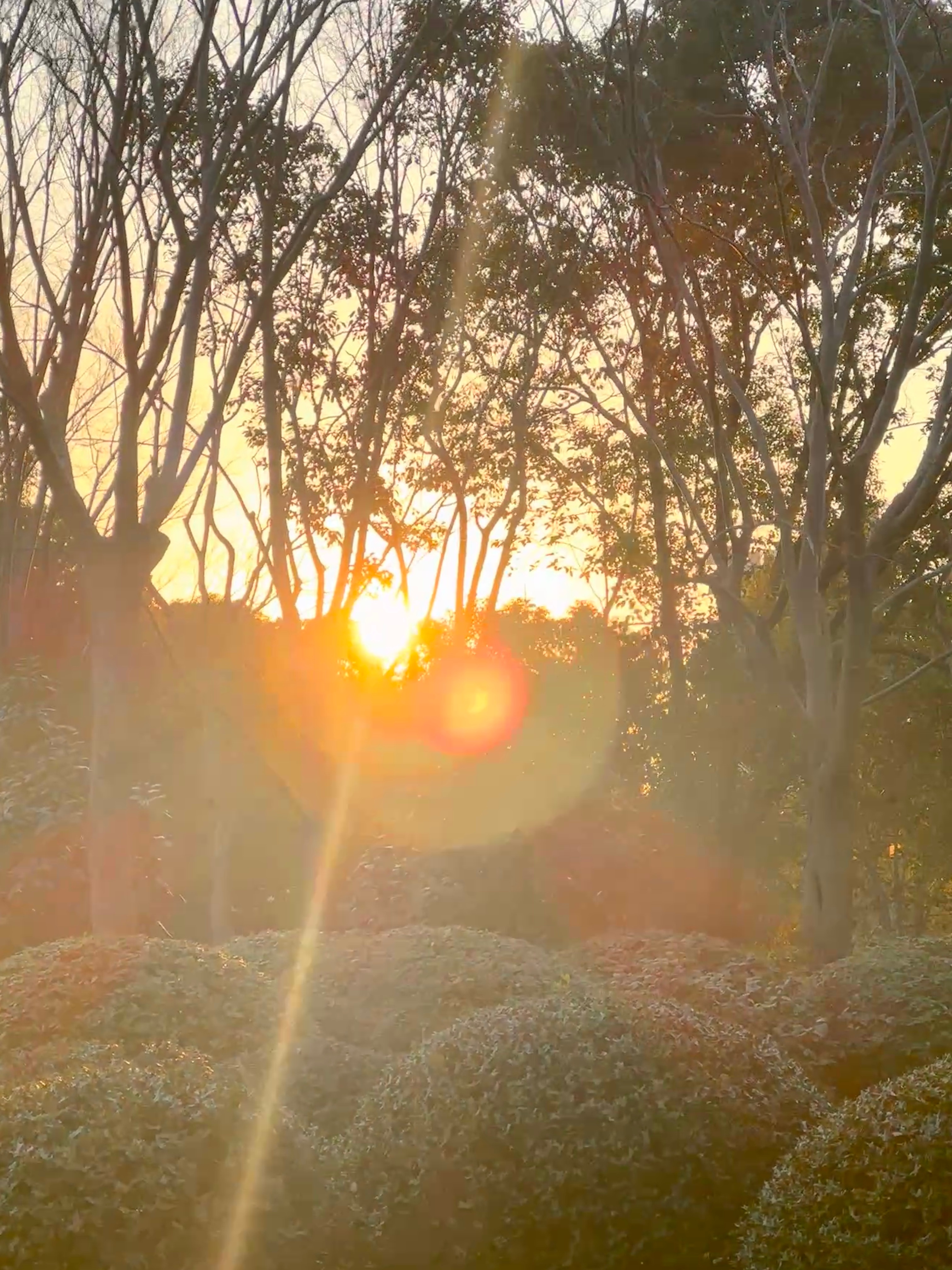 朋友说你去过的地方太多了 体验过的东西也太多了 所以快乐的阈值被拉的太高了 边际