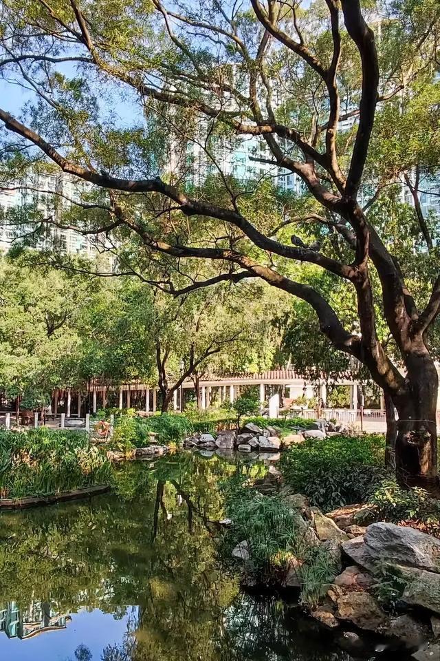 小区一大姐又下单给老父母买酱油等日常用品，大姐知道母亲买了肯定是要拿一些给弟弟家