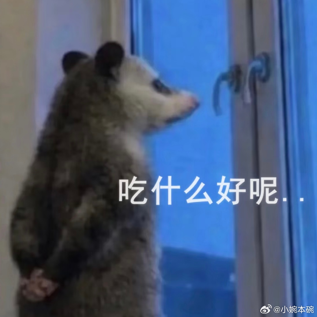 俺已✈️到南昌啦！！！明天盛世天下见面会等前线人脉🥣拍拍拍！！！母皇荔枝魏王高