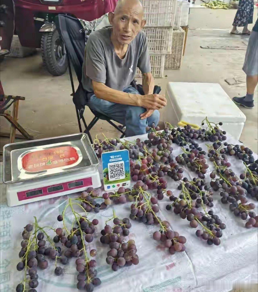这种葡萄真的有人买吗？稀稀拉拉的。 