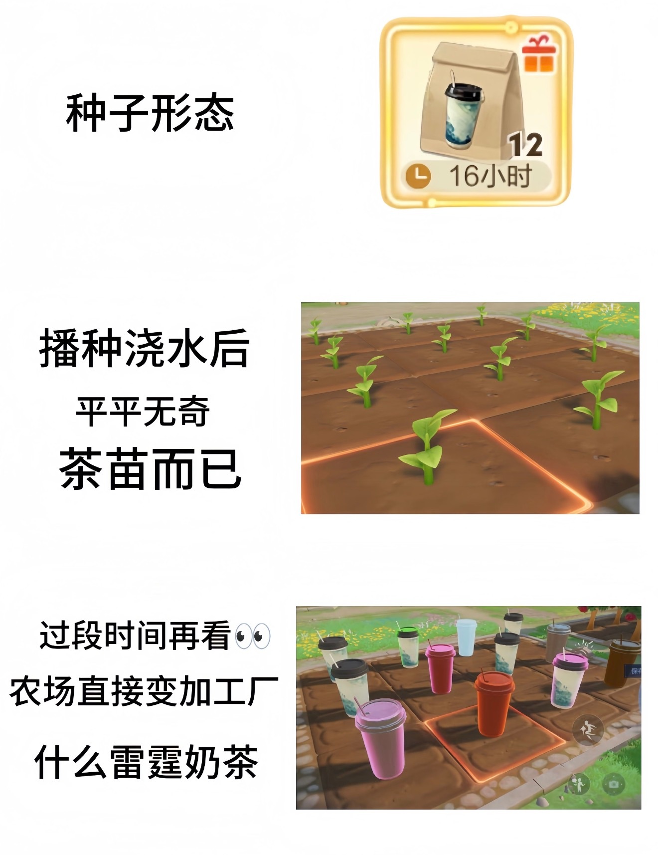 王者农场种茶得茶！种茶得茶也没说种出来直接就是奶茶呀！还贴心的插好了吸管王者农场