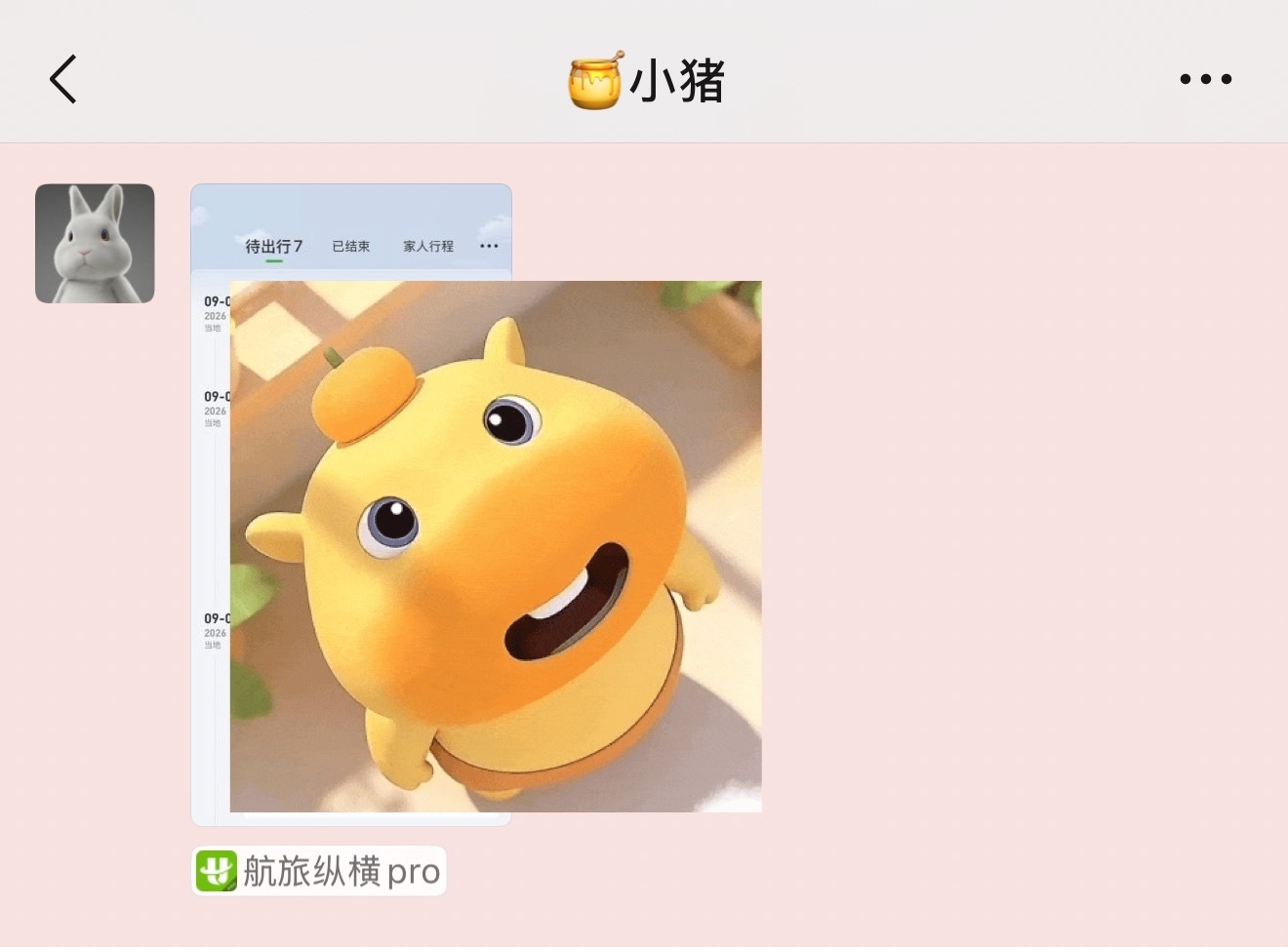 中国人能飞