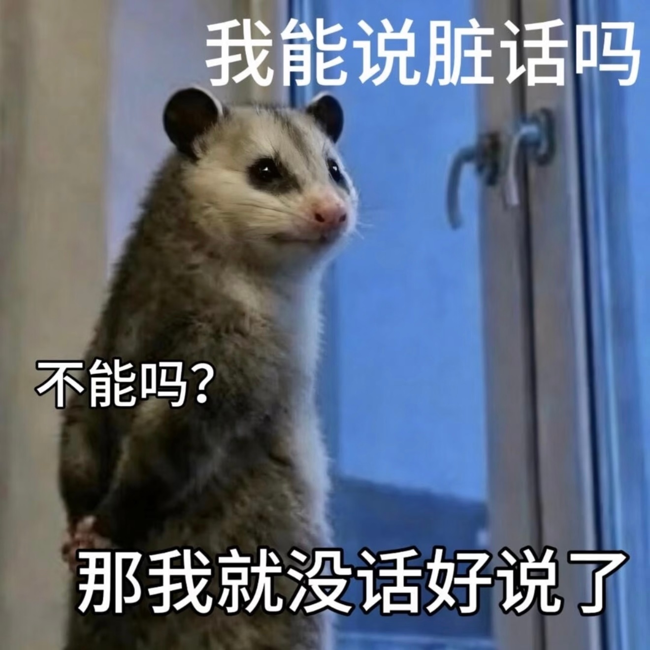 分享图片 