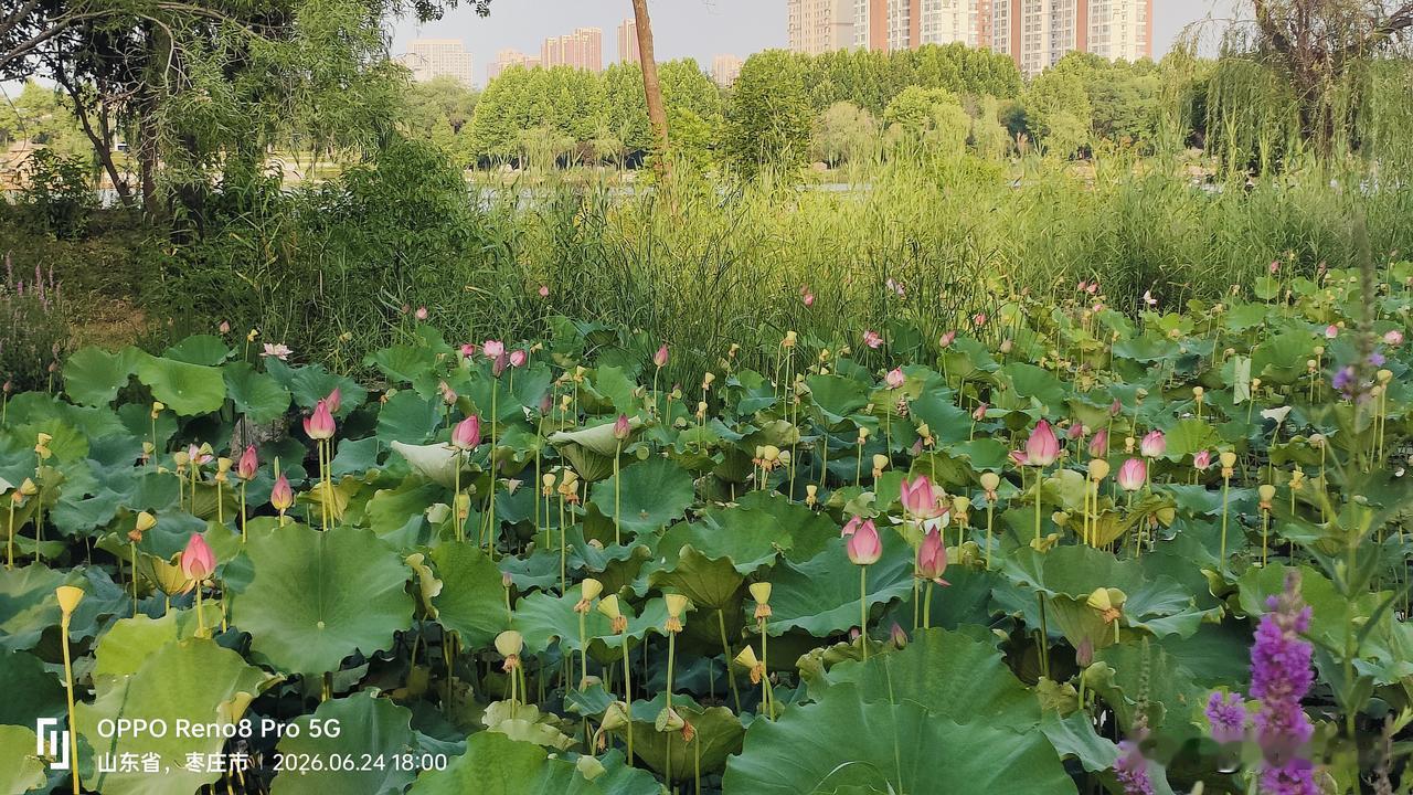 “昨天我还跟股神老王叫板，今天就差点跪下来叫他师父！”

事情是这样的——昨天创