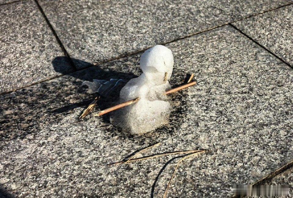 笑晕了，雪人居然还在，准备跨年吗