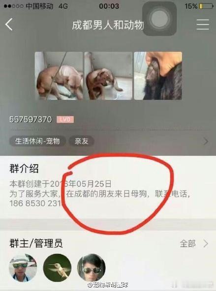 潘宏暴力训狗是因科学观念缺失 潘宏粉丝画像一览 