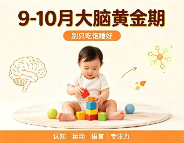 抓住宝宝9-10月大脑黄金爆发期！这样带娃，娃的认知发育快人一步