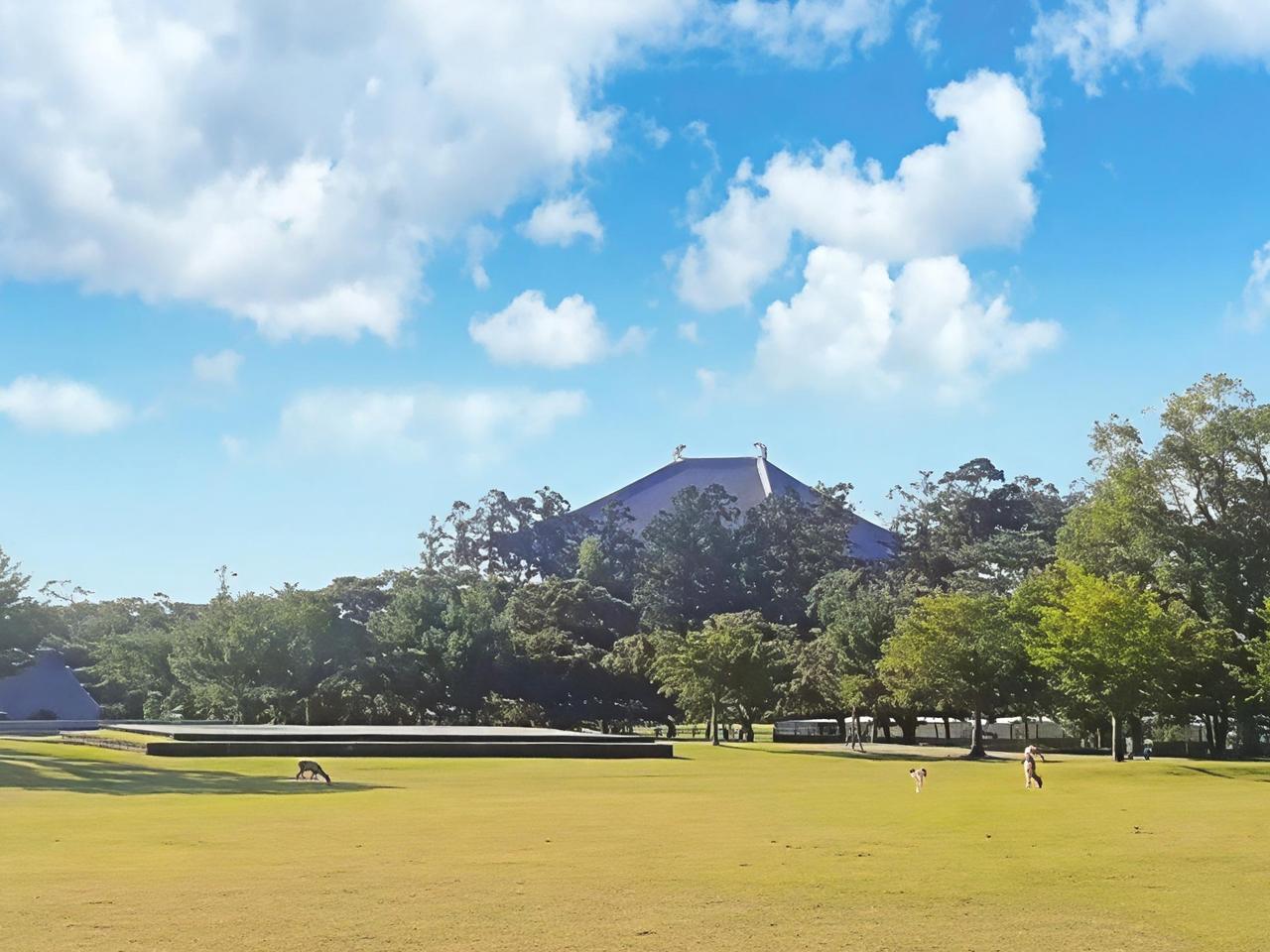 终于认清一个残忍到极致的真相：靠本能和感官得来的幸福，根本不算幸福，只是暂时的幻