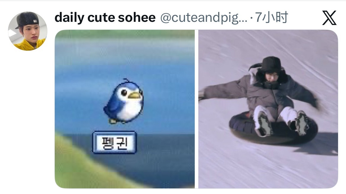 🐧 