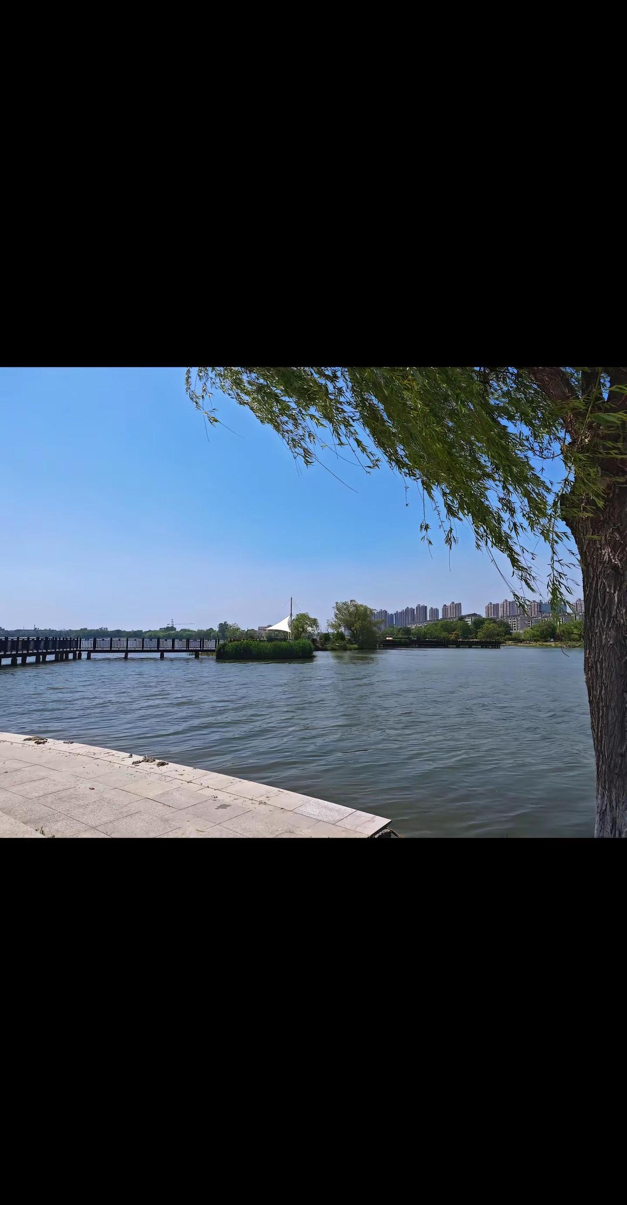 湖边散步随拍 处处是风景天天好心情 蓝天白云晴空万里 湖水清澈