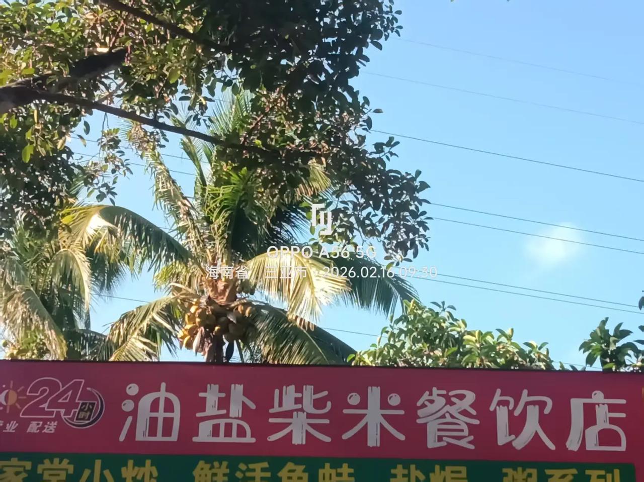 新春来抓马 我的足迹地图