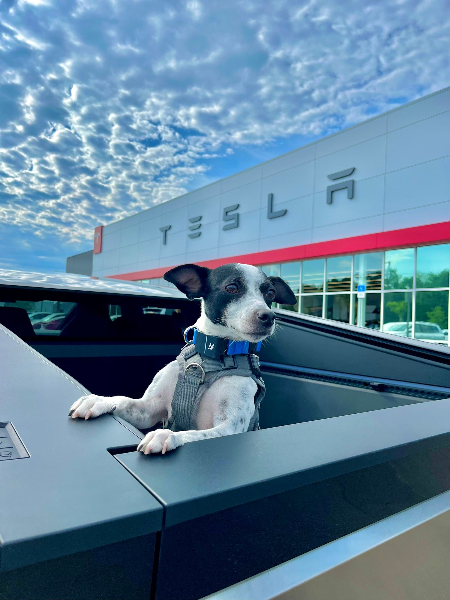 2月20日，马斯克：我最终可能要缴纳超过5000亿美元的税款，包括死亡税～ 