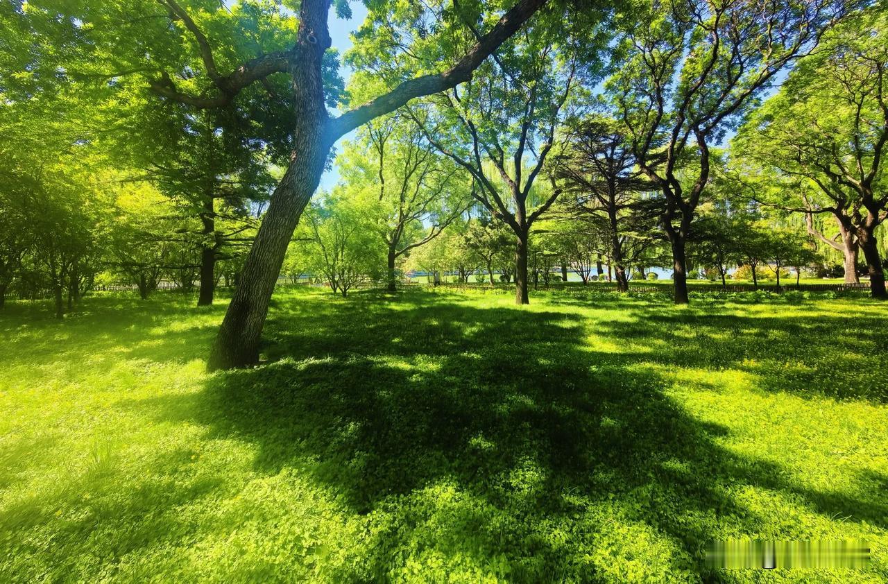 这两天北京阳光灿烂，空气通透度高，是拍照的好天气，使用手机拍也感觉是大片。
陶然