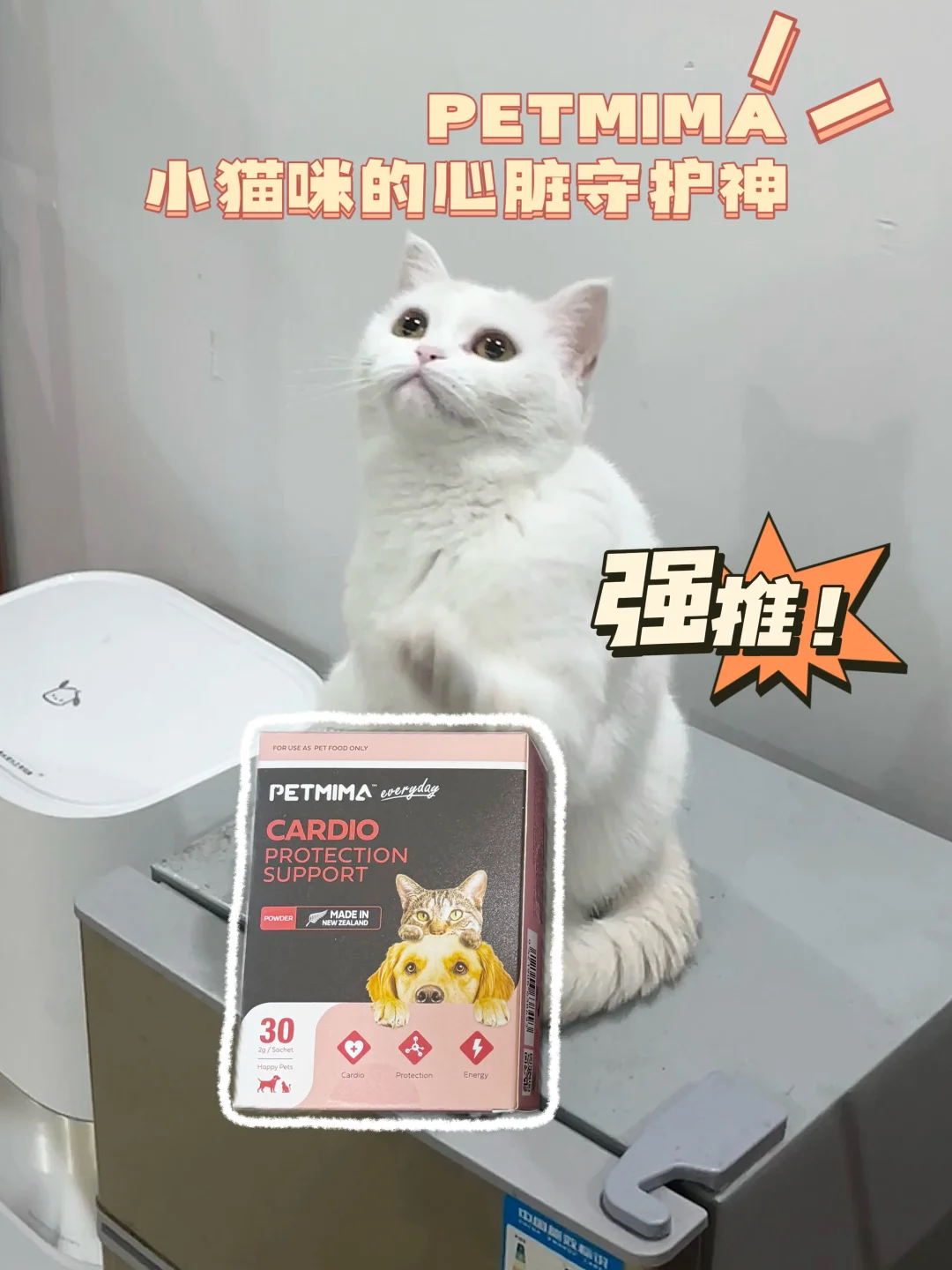 小胖猫的护心日常