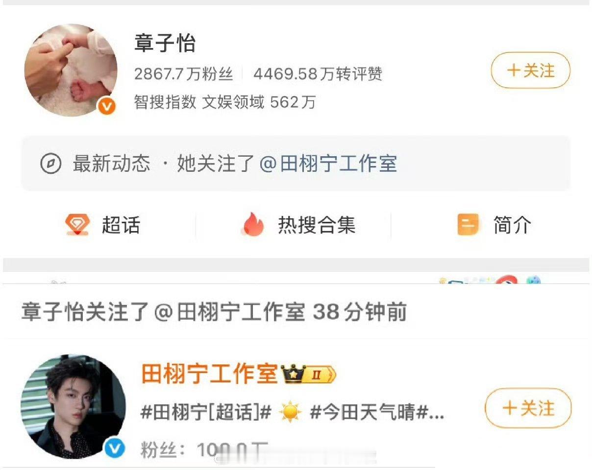 章子怡关注田栩宁工作室，是有合作吗？ 章子怡关注田栩宁工作室