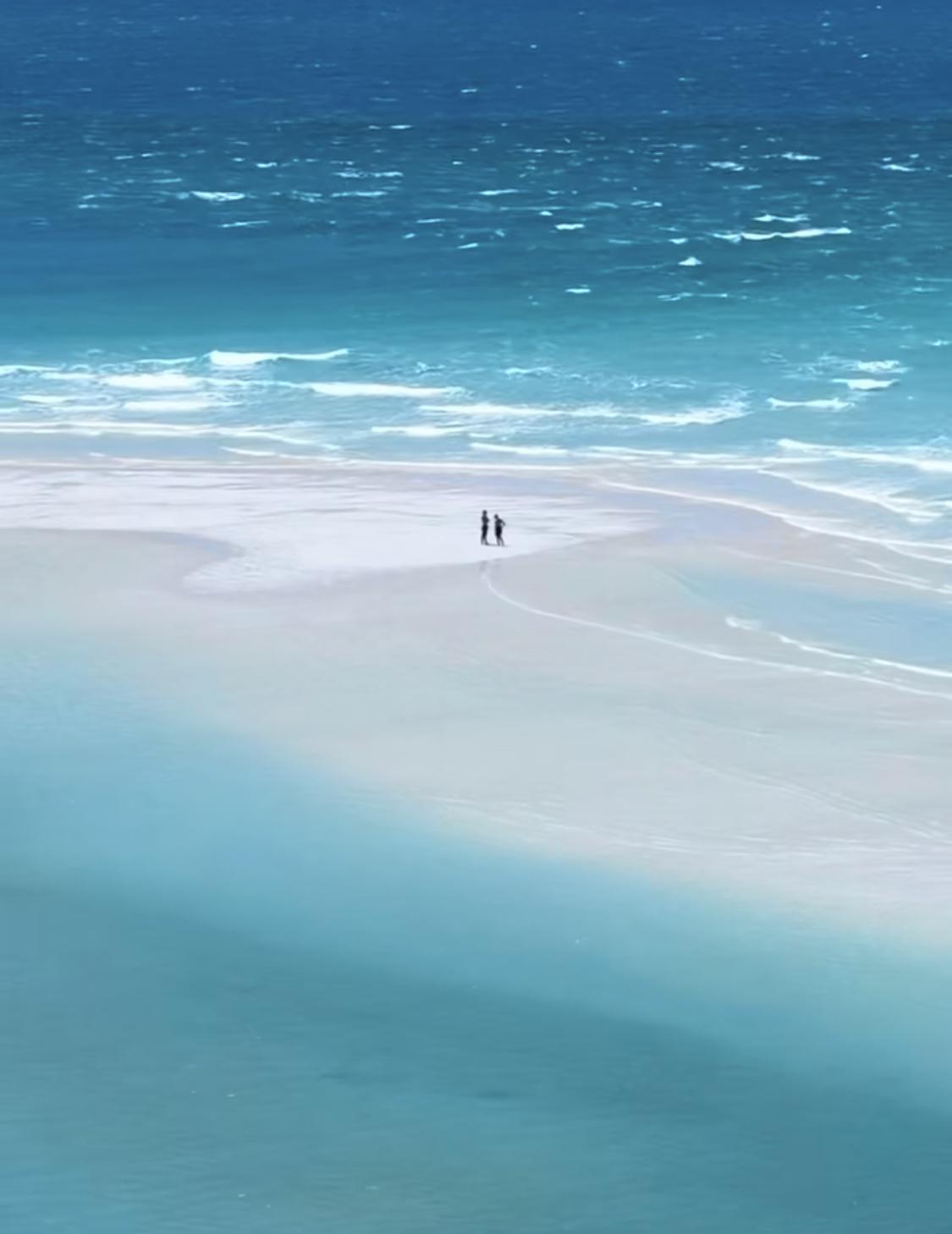 人一定要大量读书！ 

我发现长期读书的人都有一个共性：不着急。

苏轼：

“