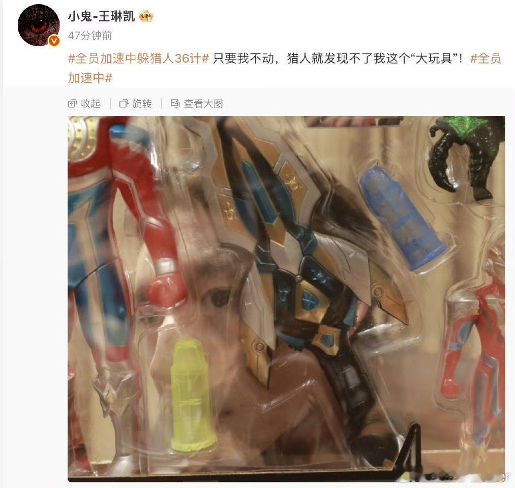 小鬼王琳凯体内的中二魂压不住了全员加速中 哈哈哈哈王琳凯你是要萌鼠谁啊，居然想到
