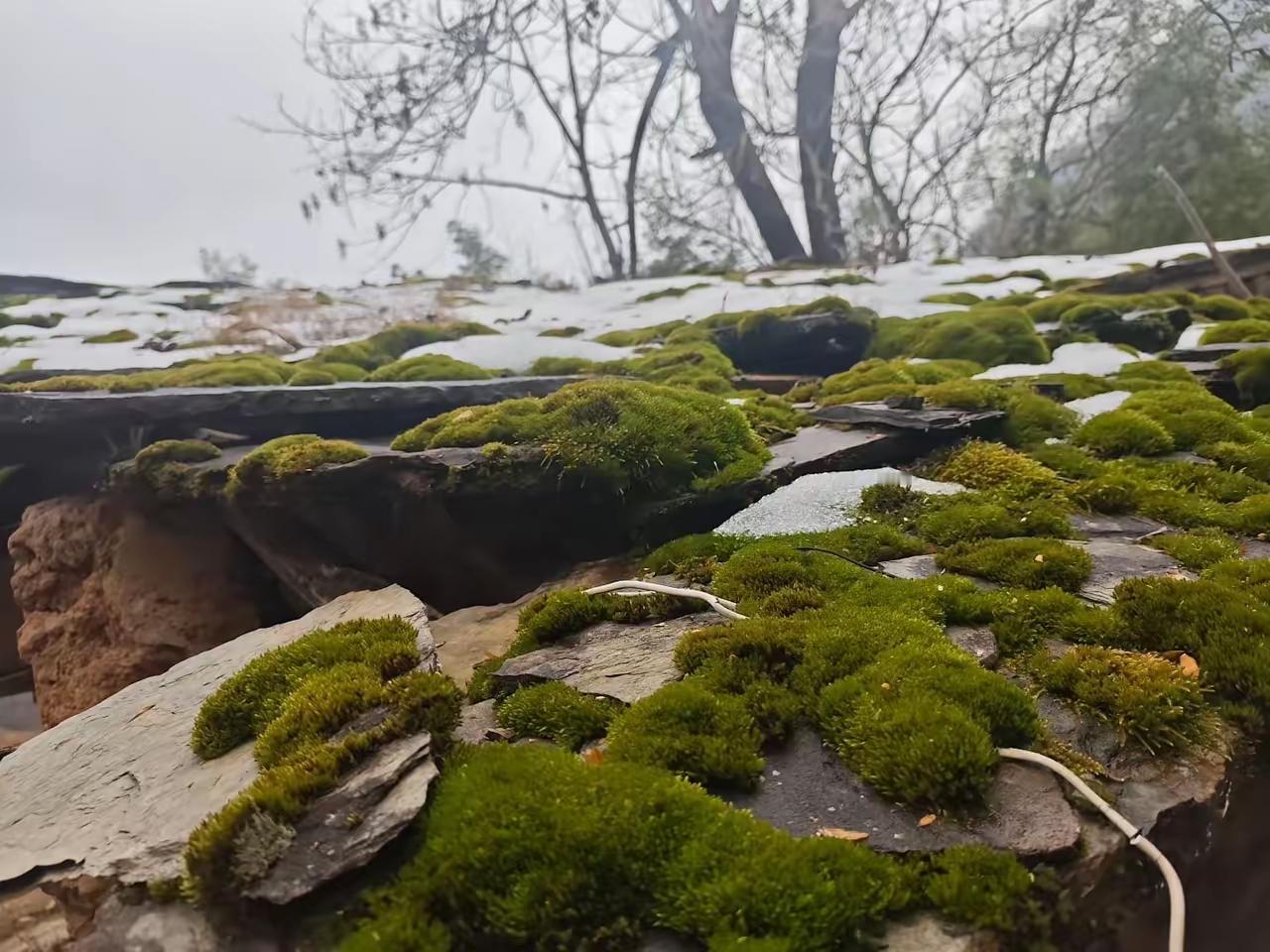 同事靠低买高卖黄金赚了60万，这笔意外之财远超他的日常收入，让他一下子乱了方寸。