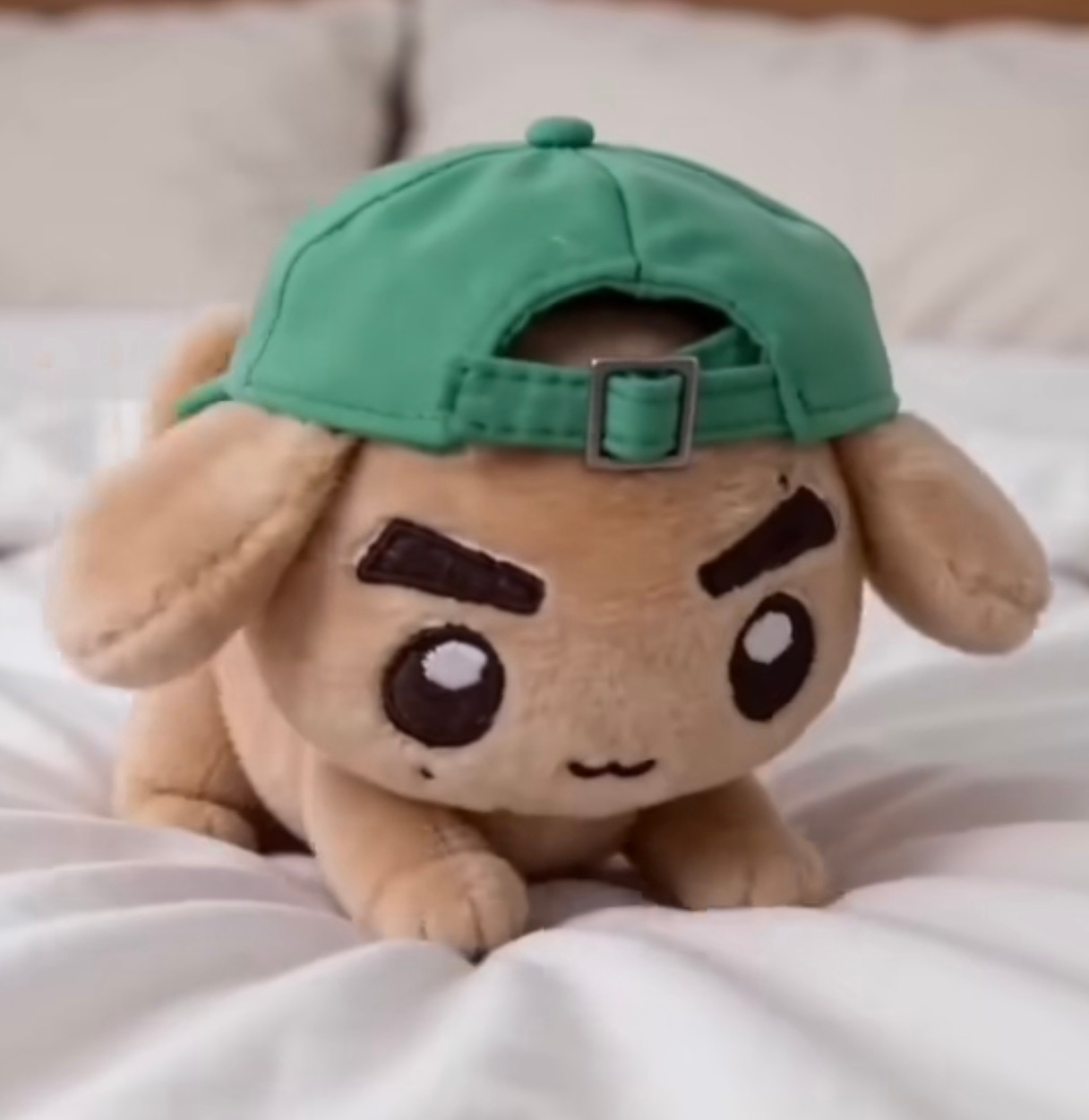 每日一狗 