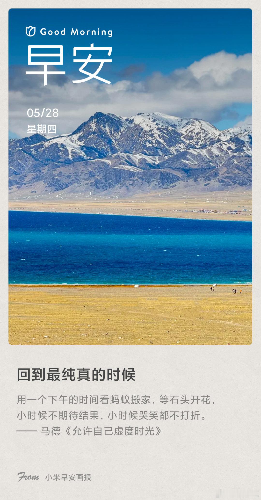 小米画报 回到最纯真的时候： 用一个下午的时间看蚂蚁搬家，等石头开花，小时候不期