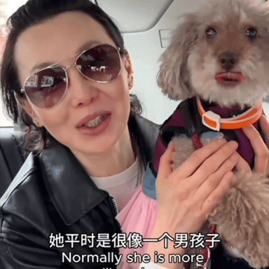 张曼玉牵狗上班 牵着狗狗，走过超市、机场和办公室，张曼玉把生活过成了流动的风景。