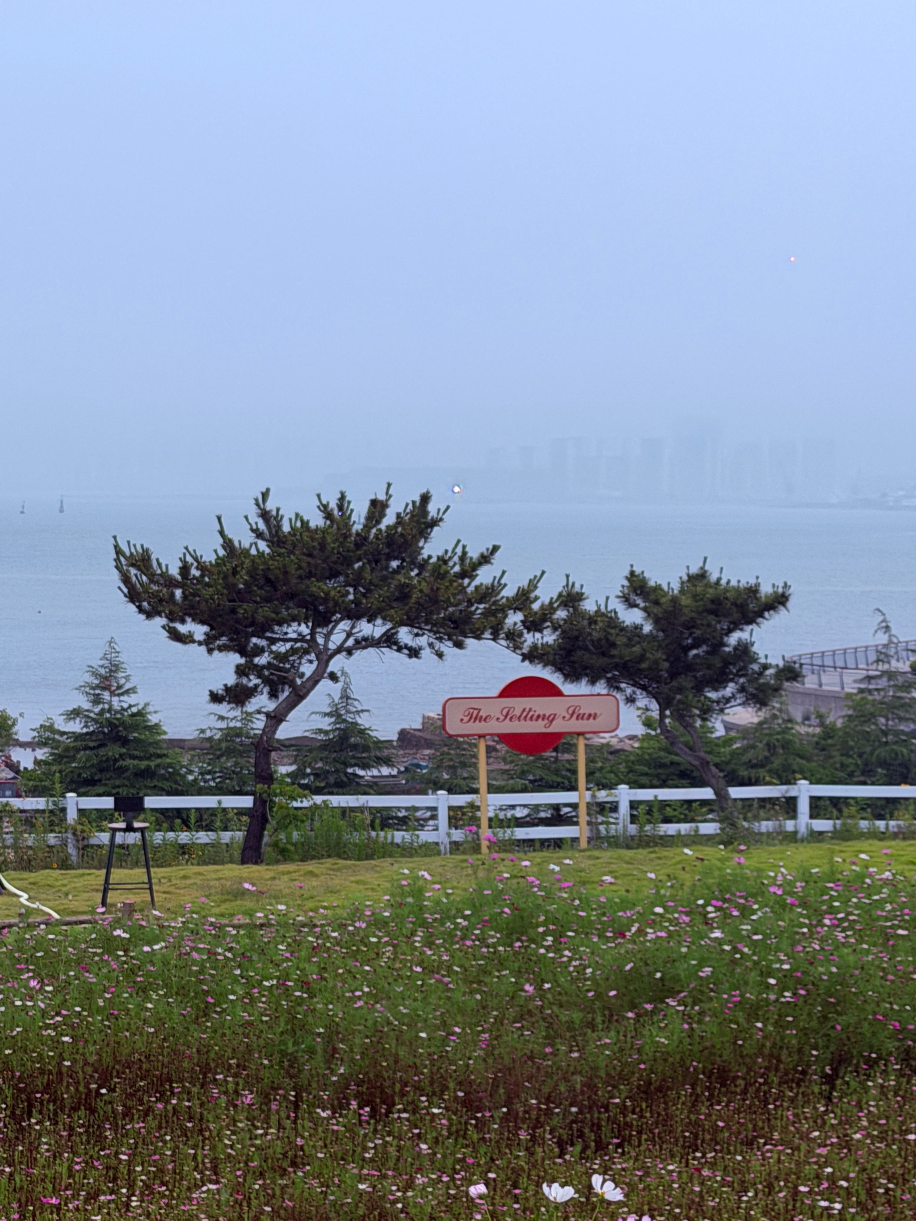 这两天天气都好差 想回成都了我的日常plog 青岛