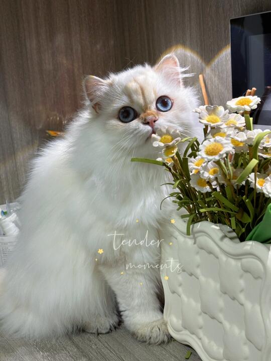 花都不及你美🥰