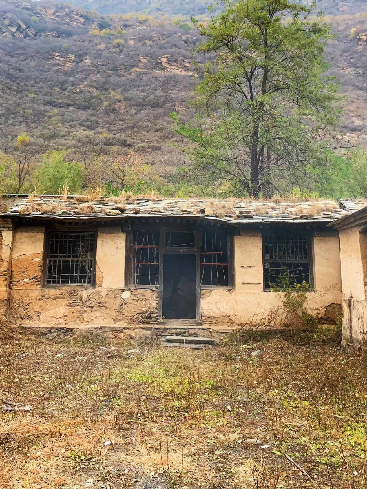 开在荒村里的咖啡店 ​​​