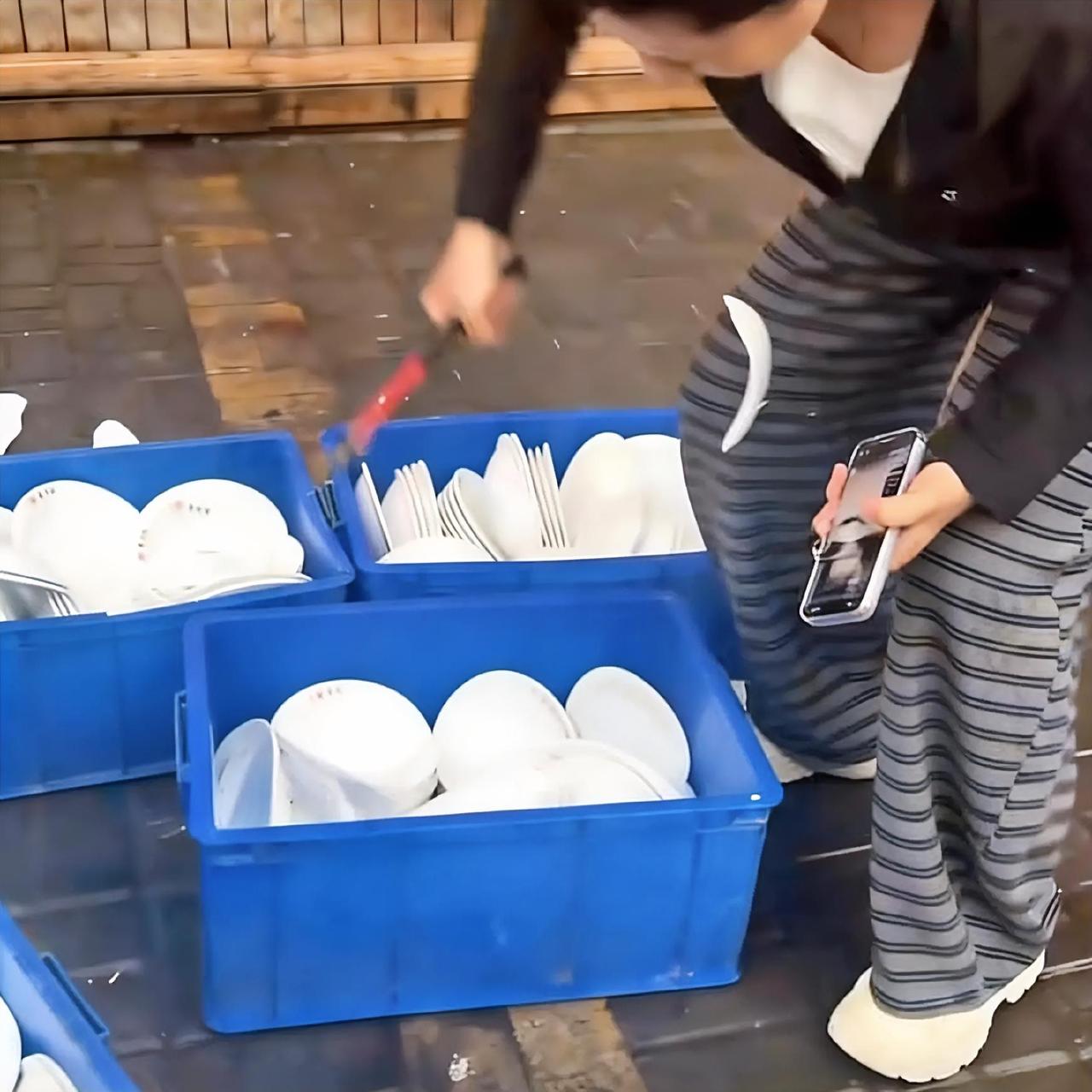 河南商丘一名女顾客带着宠物狗到一家餐厅用餐，宠物狗爬上了餐桌，餐桌上摆放着该餐厅