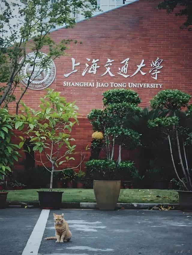 上海交大冲突事件引校门开放之争大学校门应敞之有道上海交大冲突事件引发大学校园开放