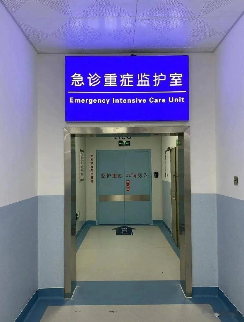 一个19岁的女孩住进了重症监护室，整整住了19天，花费近20万，最终还是走了！不