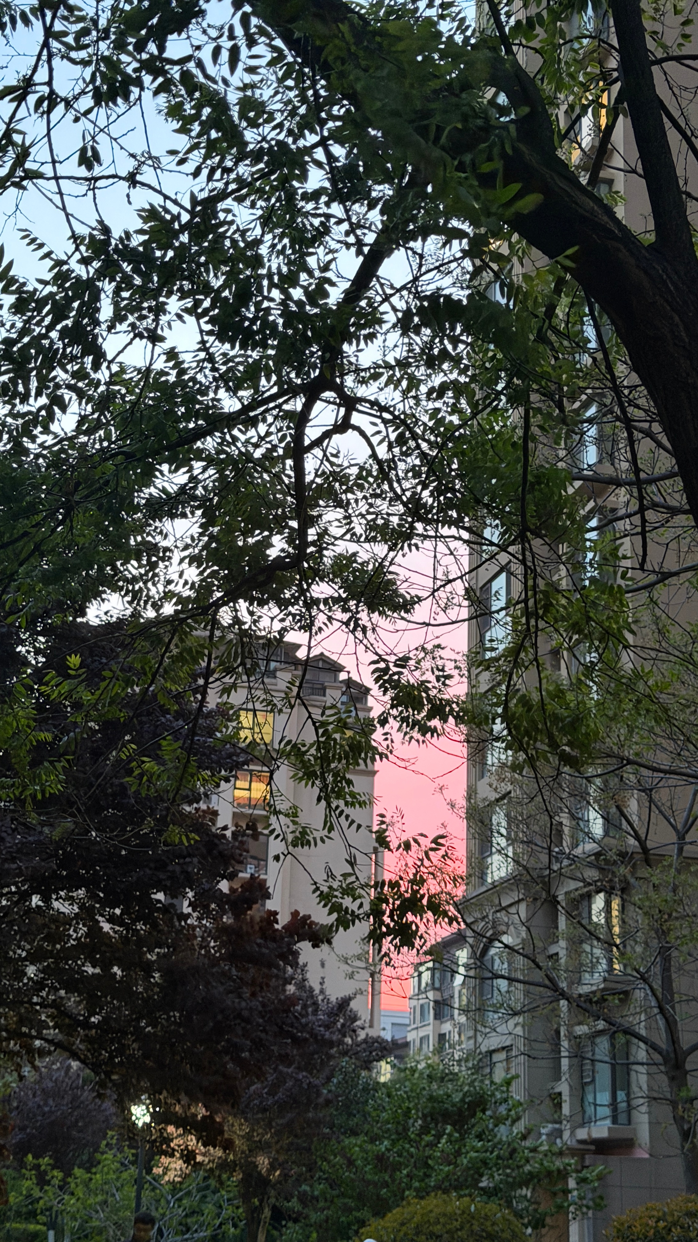 突然意识到人一定要流动起来，其实就和家里要常通风是一个道理，只有多接受新鲜空气才