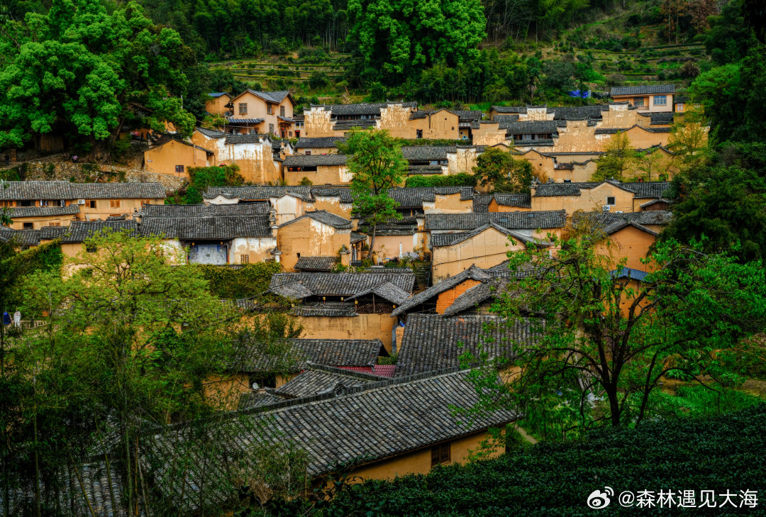 被《中国国家地理》誉为“最后的江南秘境”的松阳，究竟藏着什么秘密？🤔是杨家堂村